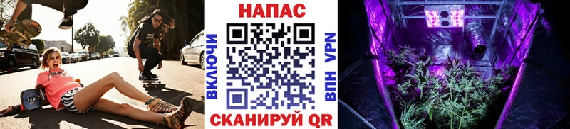 Купить где Гурьевск Шишки марихуана THC 21%